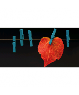 Malerei BLATT ERWEITERT G5806 PINTDECOR