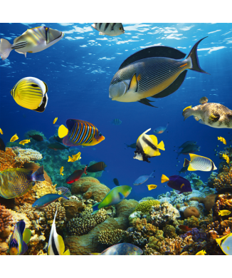 Bild SEEBED G2048 PINTDECOR