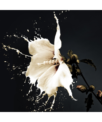 Rahmen WHITE LILY G1966 PINTDECOR