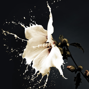 Rahmen WHITE LILY G1966 PINTDECOR