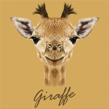 Bild GIRAFFE G3384 PINTDECOR