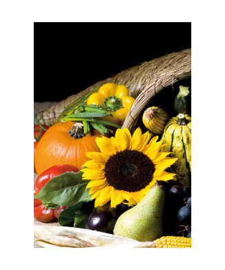 Bild SONNENBLUME G2752 PINTDECOR