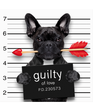 Rahmen SCHULDIG G3358 PINTDECOR