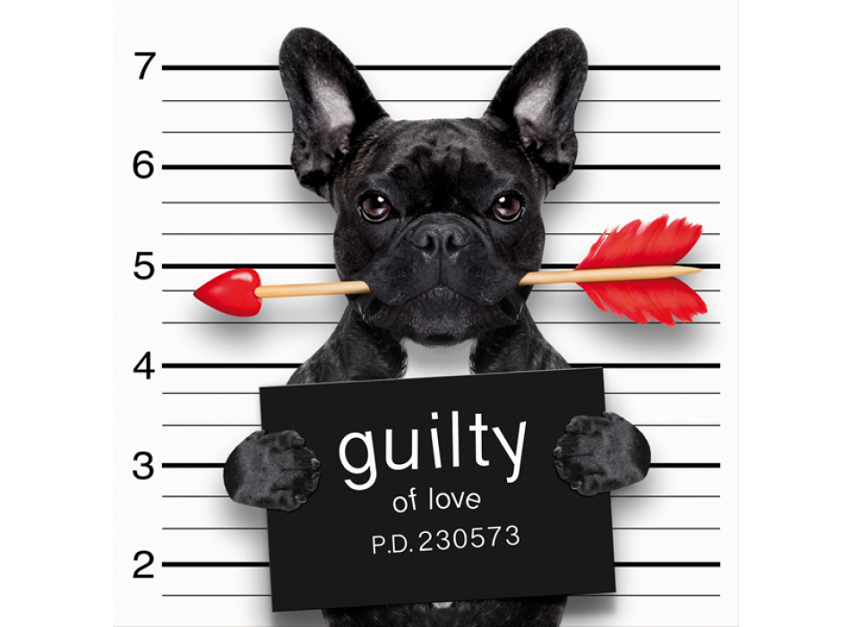 Rahmen SCHULDIG G3358 PINTDECOR