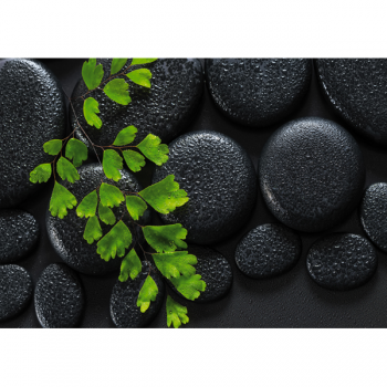 Poster GRÜN UND SCHWARZ G2270 PINTDECOR