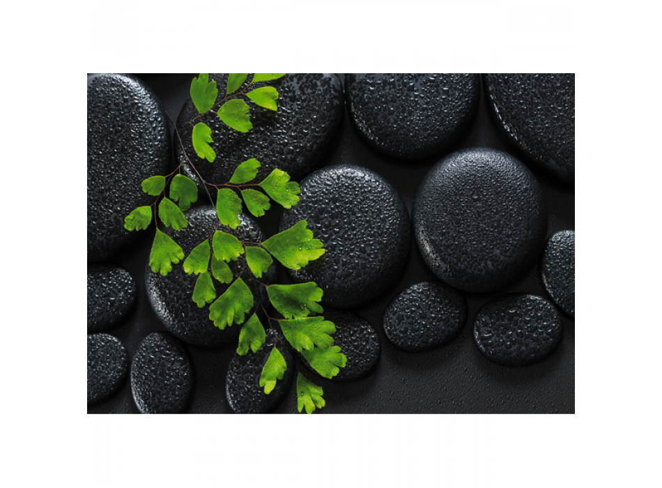 Poster GRÜN UND SCHWARZ G2270 PINTDECOR