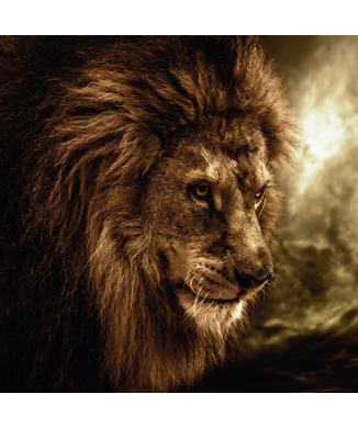 Rahmen KÖNIG G1526 PINTDECOR