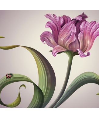 Rahmen DER MARIENKÄFER G1992 PINTDECOR