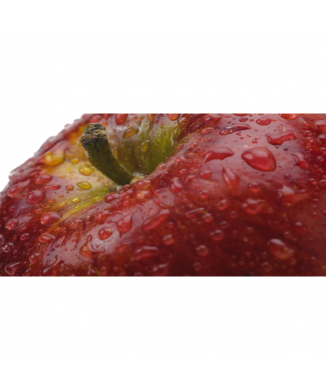 Rahmen DER APPLE G1876 PINTDECOR