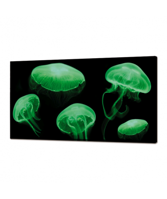 LEUCHTBILD JELLYFISH FLUO GL3498 PINTDECOR