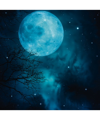 Bild BLUE MOON G2178 PINTDECOR