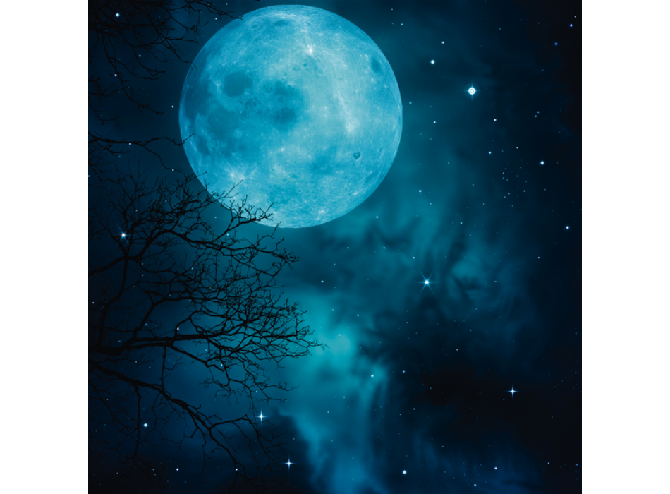 Bild BLUE MOON G2178 PINTDECOR