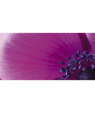 Rahmen MACRO G1910 PINTDECOR