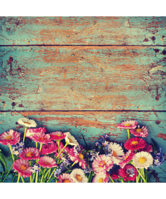 Rahmen DAISIES G1088 PINTDECOR