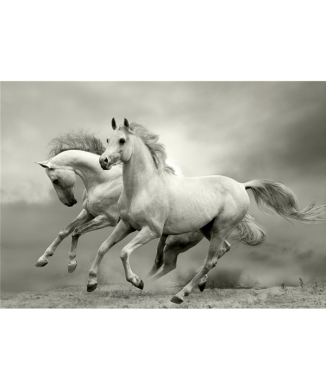 Rahmen MUSTANG G3302 PINTDECOR