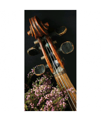 Rahmen BLUMENNOTEN G4040 PINTDECOR