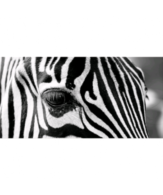 Rahmen ZEBRAAUGE G5948 PINTDECOR
