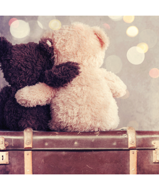 Rahmen BEARS ON THE GO G1604 PINTDECOR