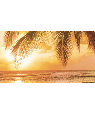 Rahmen PALM BEI SONNENUNTERGANG G4196 PINTDECOR