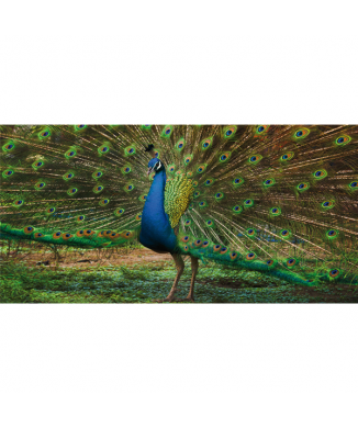 Rahmen PFAU G3258 PINTDECOR