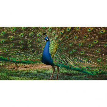 Rahmen PFAU G3258 PINTDECOR
