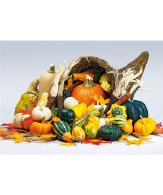 Bild LUCKY G2686 PINTDECOR