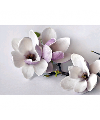 Rahmen TRUNCH G5256 PINTDECOR