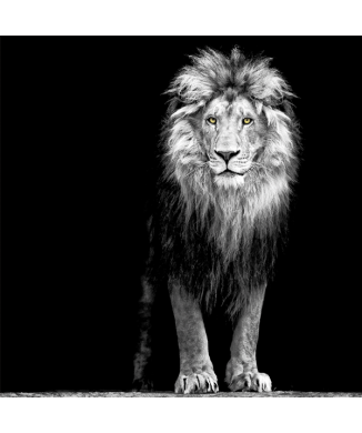 Rahmen KÖNIG DER LÖWEN G3298 PINTDECOR