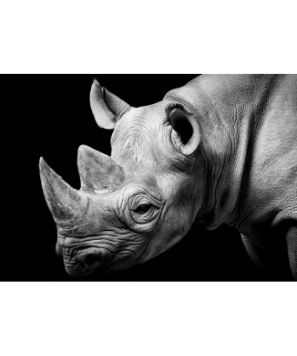 Rahmen RHINOCEROS G2026 PINTDECOR