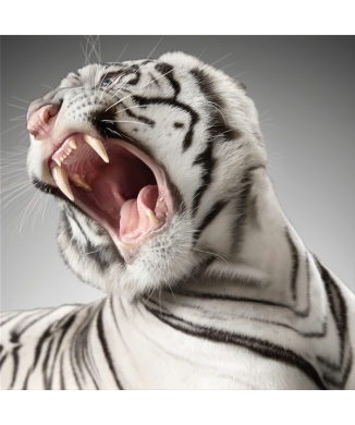 Rahmen RUGGITO G3290 PINTDECOR