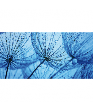 Rahmen DEW G1900 PINTDECOR