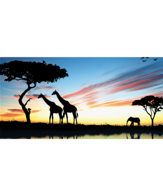 Rahmen SAVANNA 2 G3334 PINTDECOR