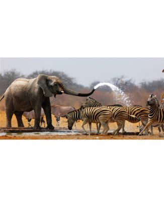 Rahmen SAVANNA G1514 PINTDECOR