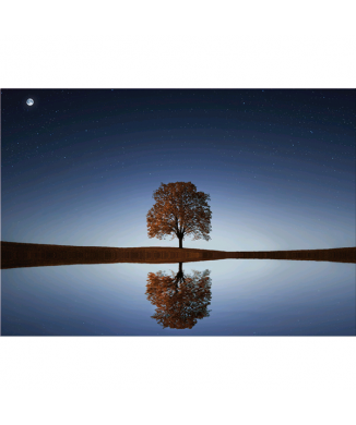 SPIEGELBILD G5306 PINTDECOR