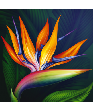 Rahmen STRELITZIA G1114 PINTDECOR