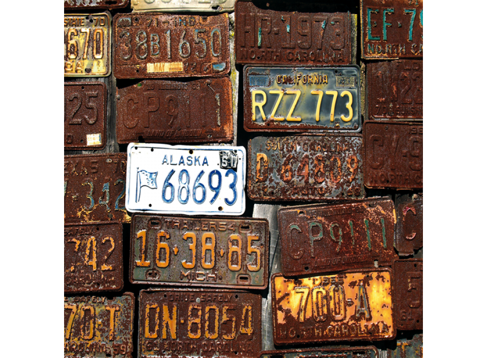 Rahmen VINTAGE PLATTEN G1338 PINTDECOR