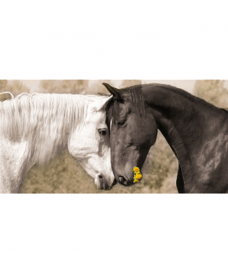 Rahmen ZÄRTLICHKEIT G3306 PINTDECOR