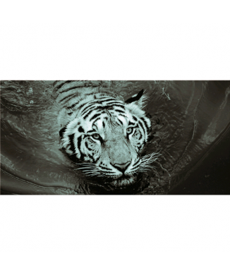 Rahmen TIGER G5952 PINTDECOR