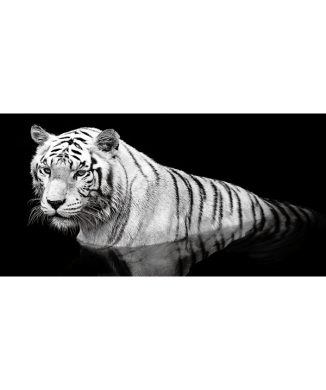 Rahmen TIGER IM WASSER G2010 PINTDECOR