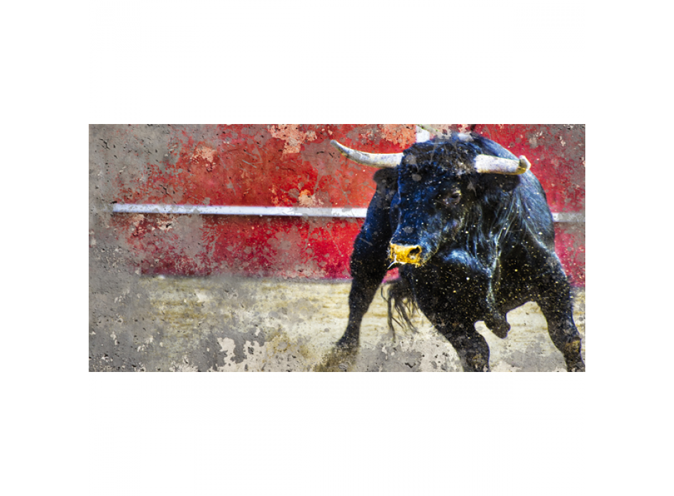 Rahmen STIER IN DER ARENA G2236 PINTDECOR