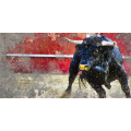 Bild BULL IN DER ARENA G2236 PINTDECOR