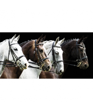 Rahmen TROT G3310 PINTDECOR