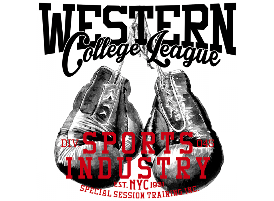 Bild WESTERN COLLEGE G1314 PINTDECOR