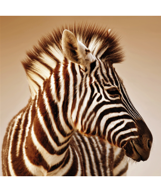 Rahmen ZEBRA G2024 PINTDECOR