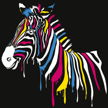 Rahmen ZEBRA MULTICOLOR G1640 PINTDECOR