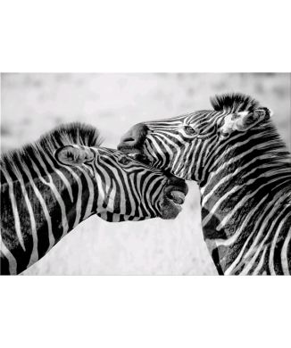 Rahmen ZEBRE G5934 PINTDECOR