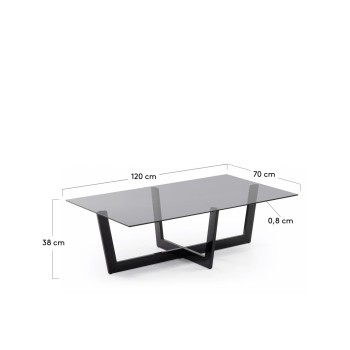 Plam Couchtisch 120 x 70 cm, schwarzes Glas, Fume-Grau