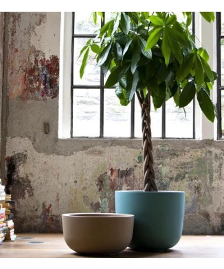 VASE CUP445 SERRALUNGA