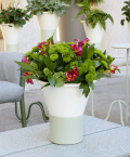 MIMOSA Vase - SCAB
